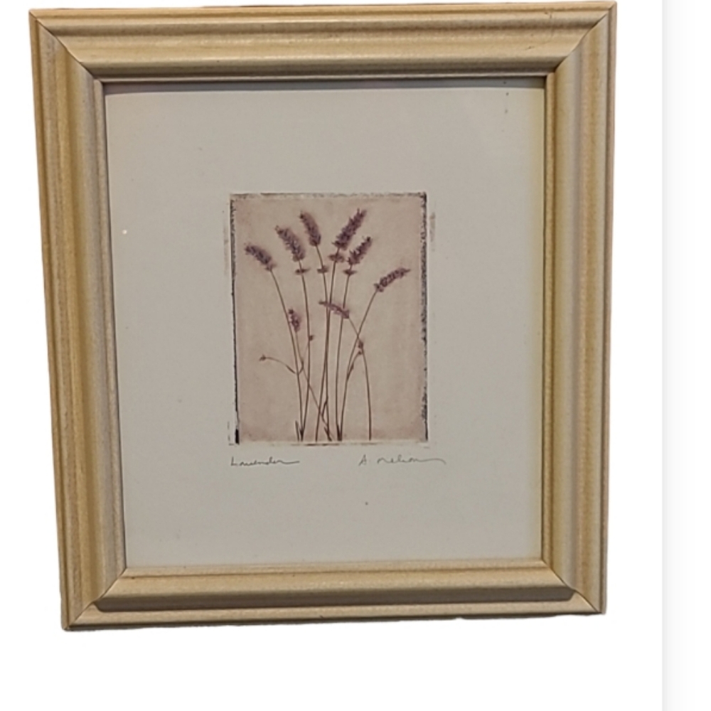 Framed print of Lavender flowers